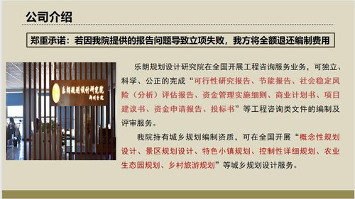 雅安項目申請報告服務 效益可觀的管理咨詢方案